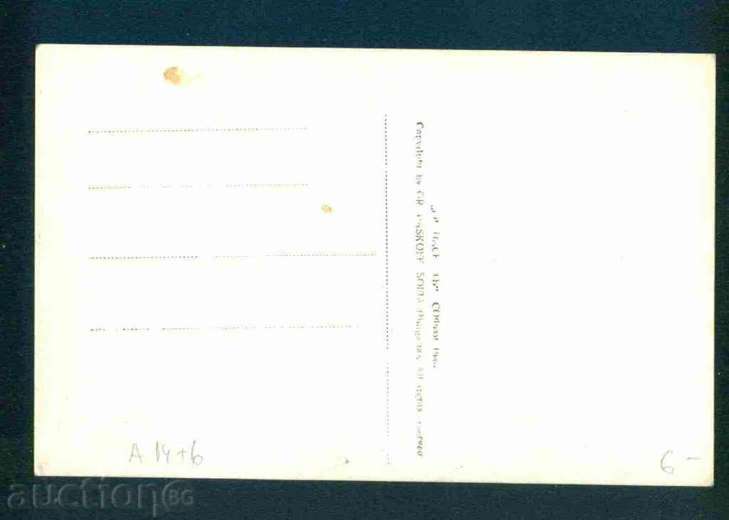 Auction SOFIA - POSTAL CARD / Bulgaria postcard Sofia / 19 Auction SOFIA - POSTAL CARD / Bulgaria postcard Sofia / 19