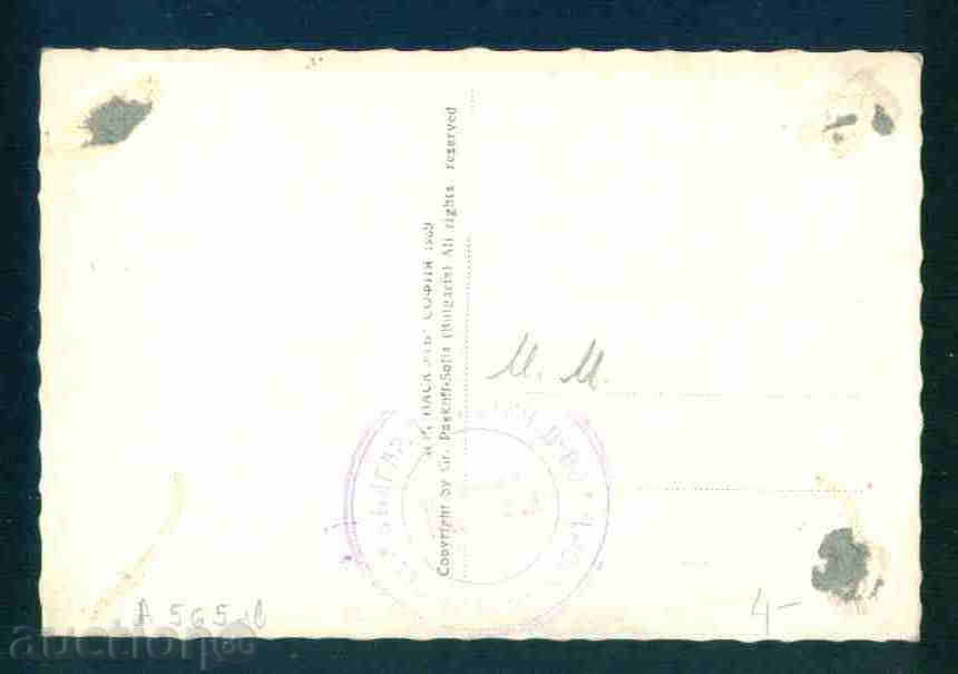 Auction TARNOVO - TARNOVO Bulgaria postcard TARNOVO 565 Auction TARNOVO - TARNOVO Bulgaria postcard TARNOVO 565