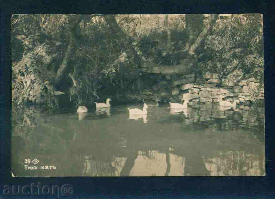 TRYAVNA - CARD BULGARIA Bulgaria postcard TRYAVNA - A 1062 with price 6.10 BGN | € 3.12 TRYAVNA - CARD BULGARIA Bulgaria postcard TRYAVNA - A 1062 with price 6.10 BGN | € 3.12