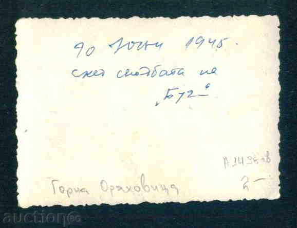 Auction  GORNA ORYAHOVITSA photo photo Gorna Oryahovitsa / А1498