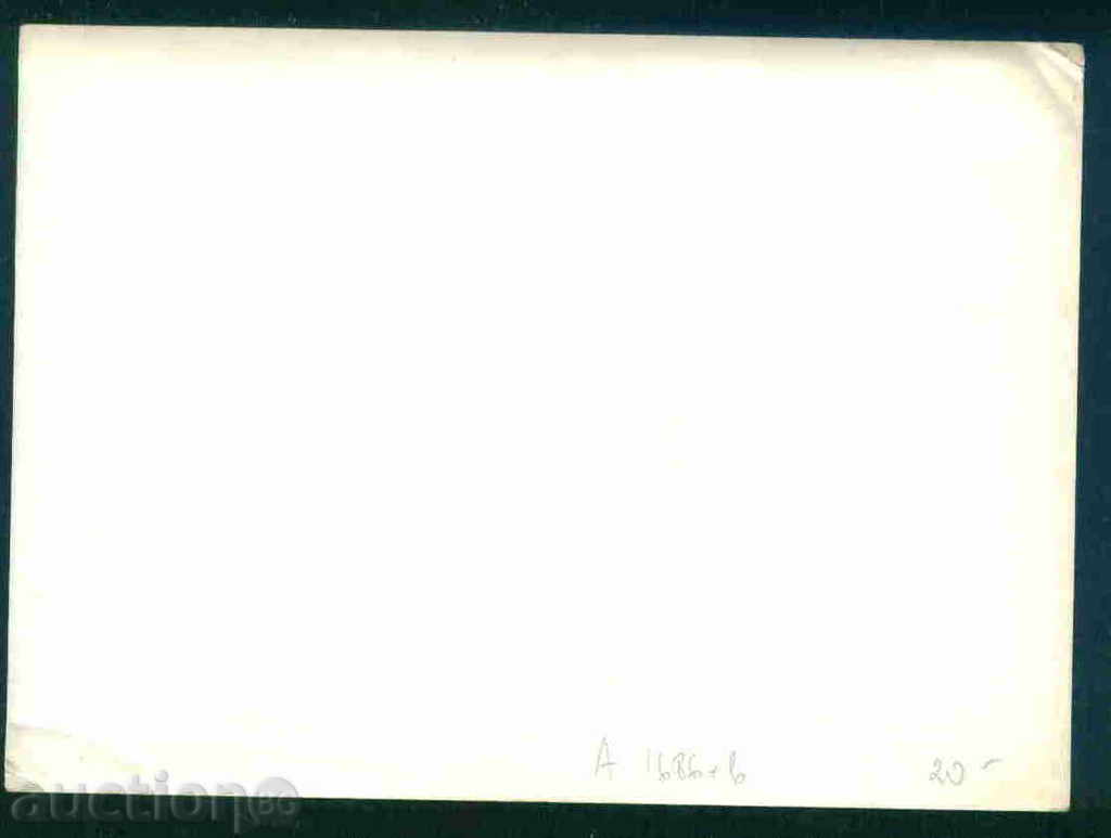 Auction SOFIA - BNB - picture Bulgaria postcard Sofia / А1686 Auction SOFIA - BNB - picture Bulgaria postcard Sofia / А1686