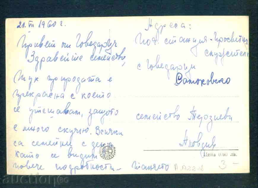 Auction BIRDS village - postcard SAMOKOV / A1722 Auction BIRDS village - postcard SAMOKOV / A1722