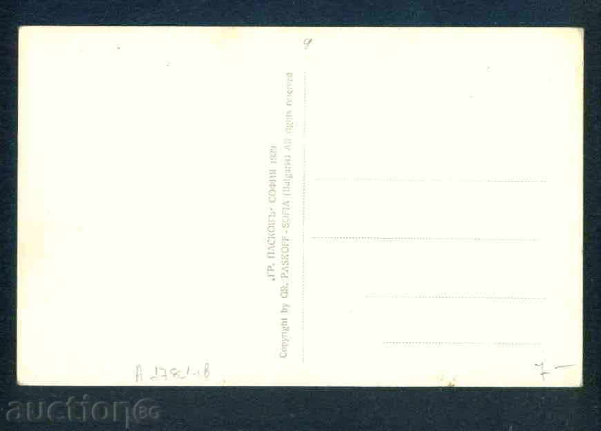 Auction SULU DERVVENT - postcard Bulgaria postcard KOSTENETS / А1781 Auction SULU DERVVENT - postcard Bulgaria postcard KOSTENETS / А1781
