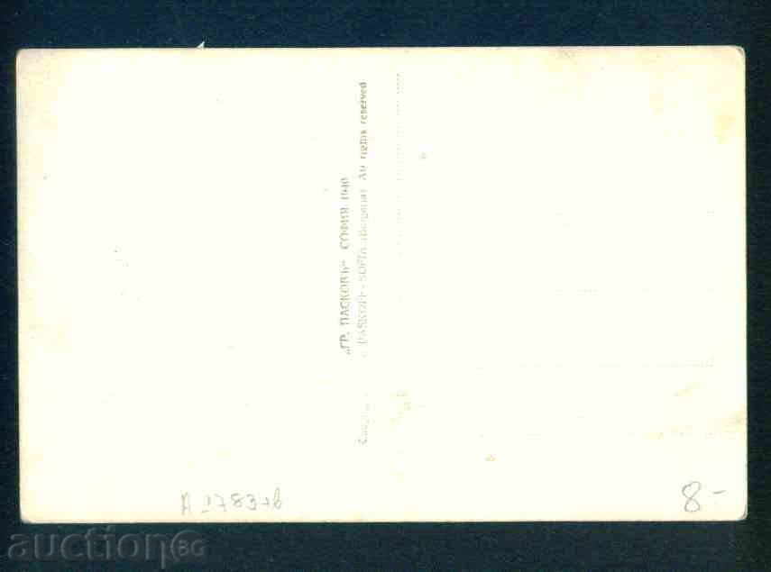 Δημοπρασία Α1783 / ΣΟΥΛΟΥ ΔΕΡΒΕΝΤ - καρτ ποστάλ Bulgaria postcard KOSTENETS Δημοπρασία Α1783 / ΣΟΥΛΟΥ ΔΕΡΒΕΝΤ - καρτ ποστάλ Bulgaria postcard KOSTENETS