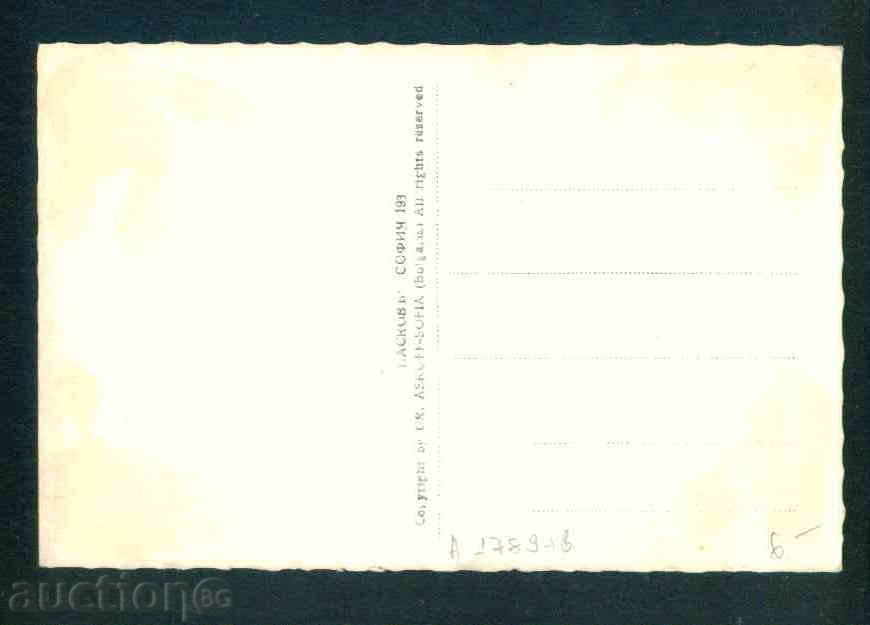 Auction SULU DERVVENT - postcard Bulgaria postcard KOSTENETS / А1789 Auction SULU DERVVENT - postcard Bulgaria postcard KOSTENETS / А1789