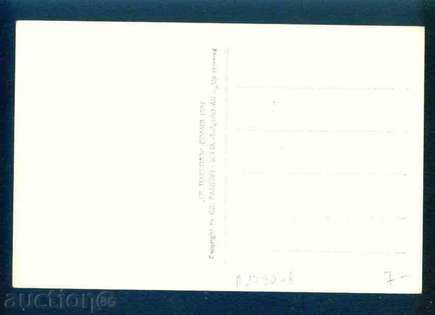 Auction SULU DERVVENT - postcard Bulgaria postcard KOSTENETS / А1790 Auction SULU DERVVENT - postcard Bulgaria postcard KOSTENETS / А1790