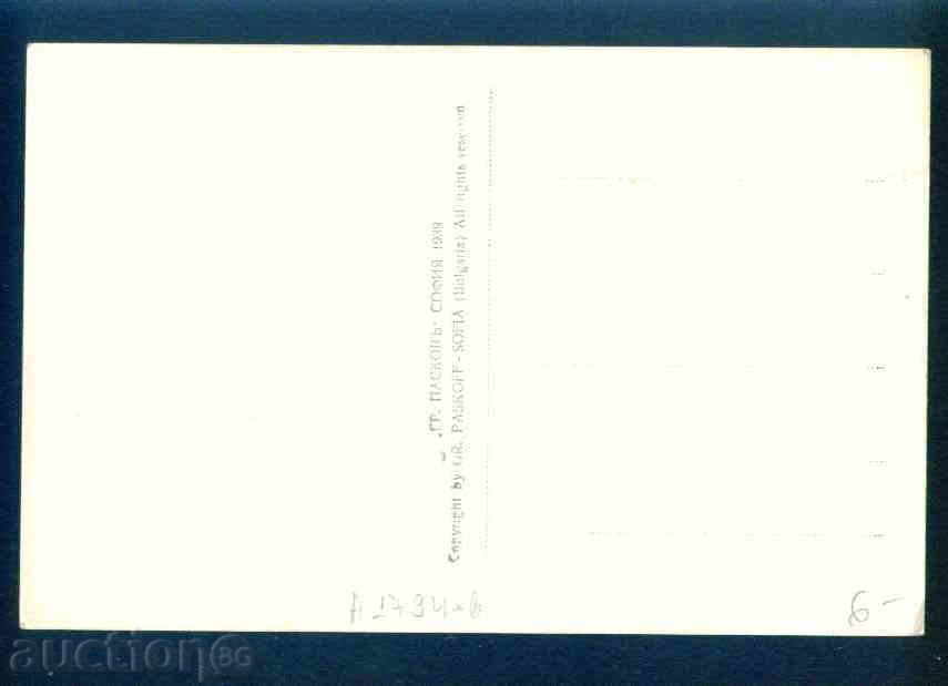 Auction SULU DERVVENT - postcard Bulgaria postcard KOSTENETS / A1794 Auction SULU DERVVENT - postcard Bulgaria postcard KOSTENETS / A1794