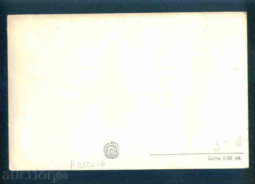 Auction SAPAREA BATHROOM postcard Sapareva Banya / А2126 Auction SAPAREA BATHROOM postcard Sapareva Banya / А2126