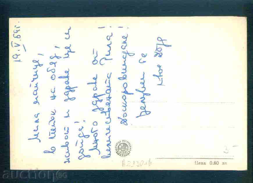 SAPAREVA BATHY card postcard Sapareva Banya / А2130 with price 3.10 BGN | € 1.59 SAPAREVA BATHY card postcard Sapareva Banya / А2130 with price 3.10 BGN | € 1.59