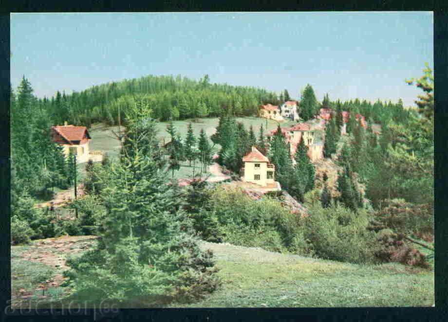 PAMPOROVO postcard PAMPOROVO / A 2580 with price 3.00 BGN | € 1.53 PAMPOROVO postcard PAMPOROVO / A 2580 with price 3.00 BGN | € 1.53