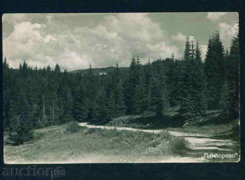 Δημοπρασία PAMOROVO κάρτα Βουλγαρία καρτ-ποστάλ PAMPOROVO / Α 2576 Δημοπρασία PAMOROVO κάρτα Βουλγαρία καρτ-ποστάλ PAMPOROVO / Α 2576