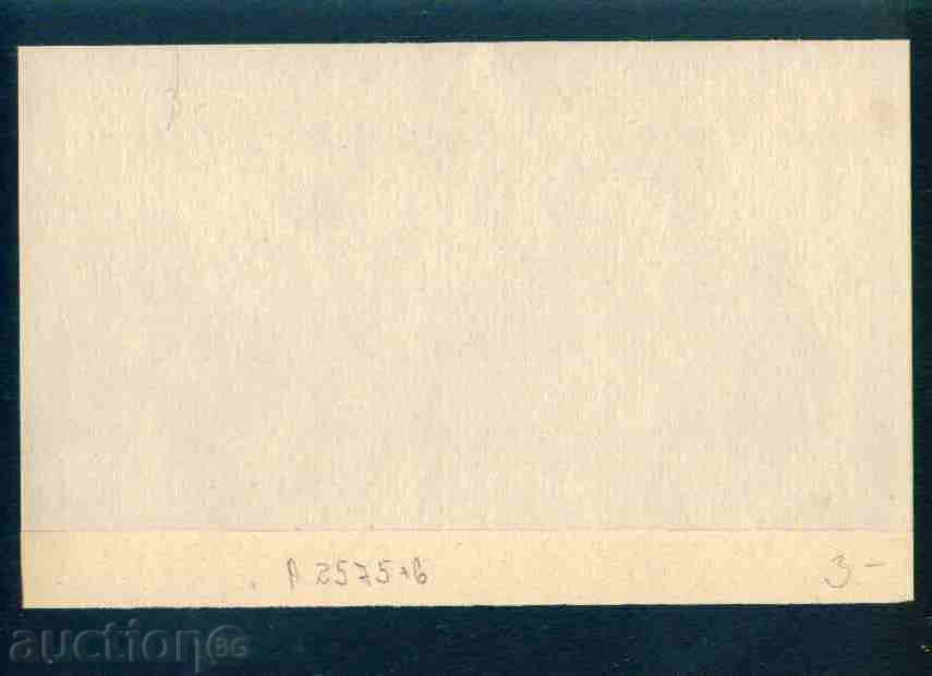 Auction PAMPOROVO postcard PAMPOROVO / A 2575 Auction PAMPOROVO postcard PAMPOROVO / A 2575