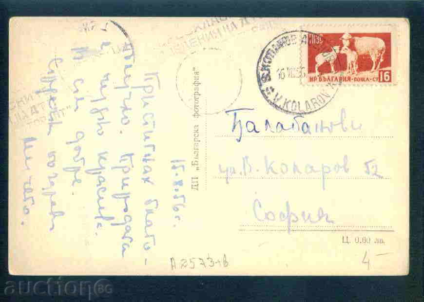 Auction PAMPOROVO postcard PAMPOROVO / A 2573 Auction PAMPOROVO postcard PAMPOROVO / A 2573