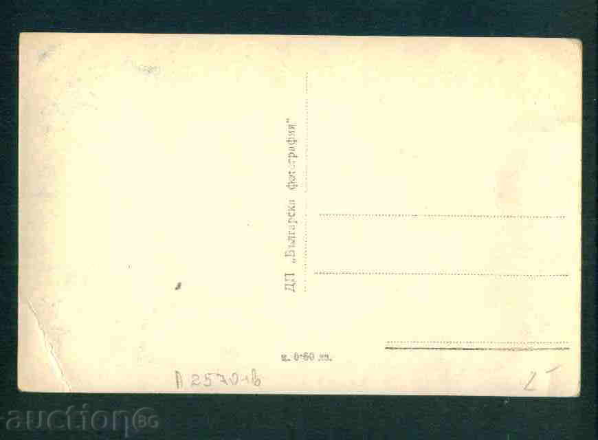 Auction PAMPOROVO card Bulgaria postcard PAMPOROVO / A 2570 Auction PAMPOROVO card Bulgaria postcard PAMPOROVO / A 2570