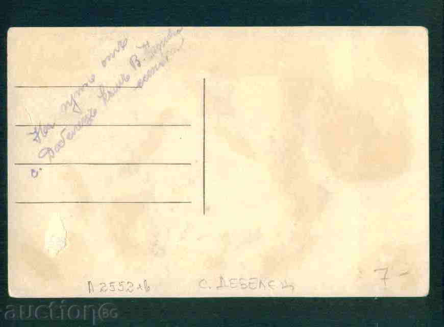 Auction DEBELETS village photo Bulg postcard TARNOVO Reg / A2552 Auction DEBELETS village photo Bulg postcard TARNOVO Reg / A2552