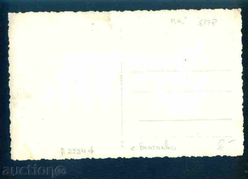 BLAGOEVO village picture Bulg postcard Turnovo Reg / A2524 with price 8.10 BGN | € 4.14 BLAGOEVO village picture Bulg postcard Turnovo Reg / A2524 with price 8.10 BGN | € 4.14