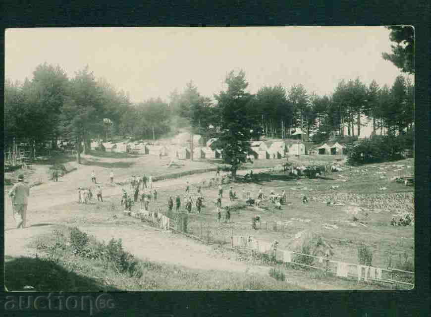 WHITE CHERRY village photo Bulg postcard TARNOVO Reg / A2519 with price 8.10 BGN | € 4.14