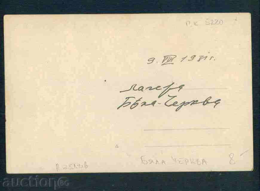 Auction  WHITE CHERRY village photo Bulg postcard TARNOVO Reg / A2519