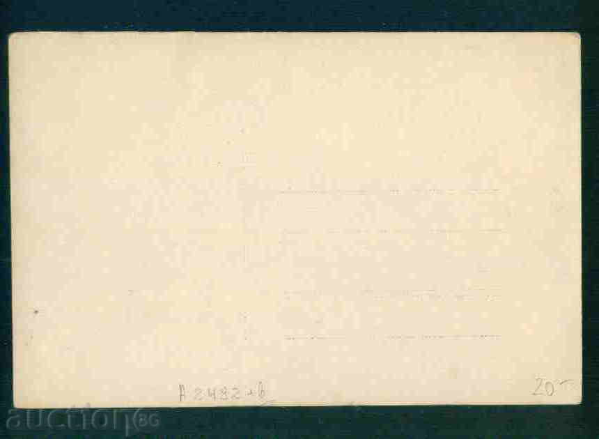 ELISEYNA village postcard Bulgaria postcard MEZDRA Reg / A2492 with price 20.10 BGN | € 10.28 ELISEYNA village postcard Bulgaria postcard MEZDRA Reg / A2492 with price 20.10 BGN | € 10.28