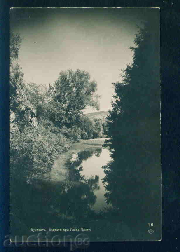 Auction LUKOVIT postcard LUKOVIT / A 2730 Auction LUKOVIT postcard LUKOVIT / A 2730