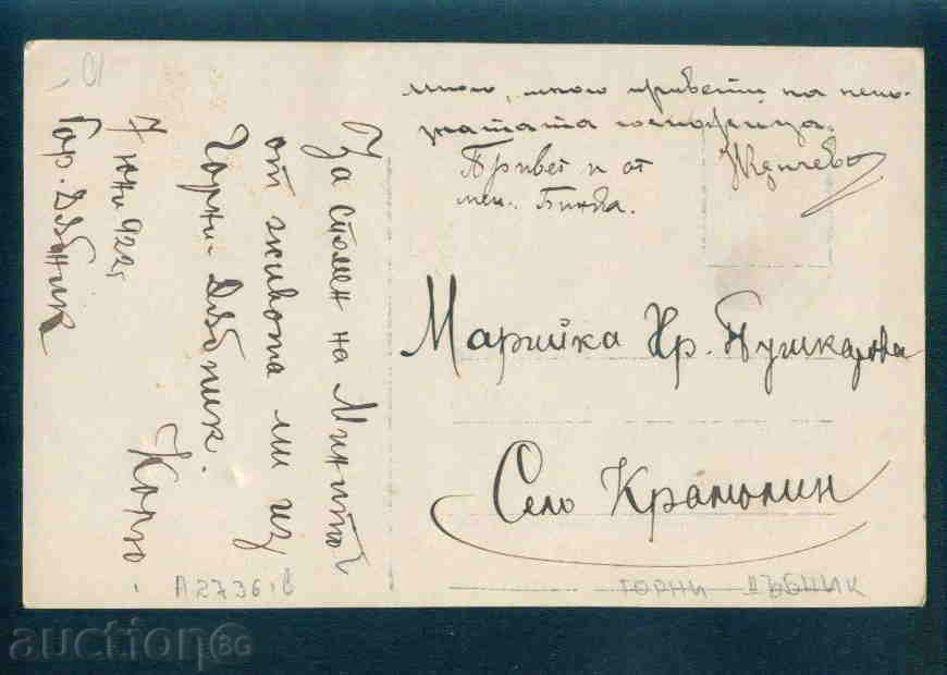 Auction  GORNI ​​DUBNIK village photo Bulg postcard PLEVEN Reg / A2736