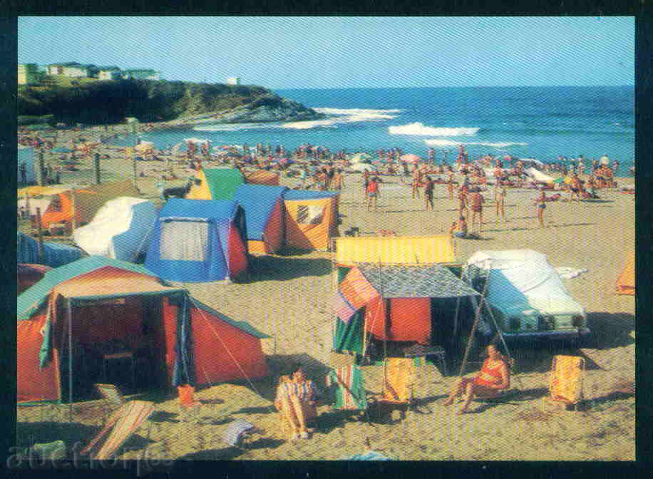 Auction South Bulgaria card Bulgaria postcard MICHURIN / A 2967 Auction South Bulgaria card Bulgaria postcard MICHURIN / A 2967