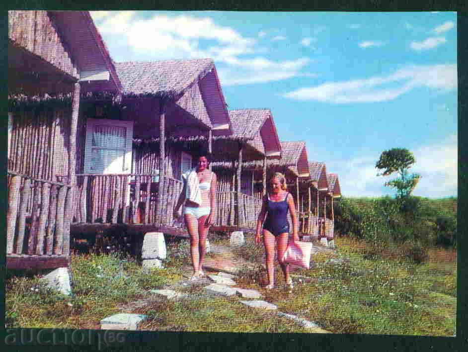 OASIS Bulgaria card postcard MICHURIN / A 2971 with price 3.00 BGN | € 1.53 OASIS Bulgaria card postcard MICHURIN / A 2971 with price 3.00 BGN | € 1.53