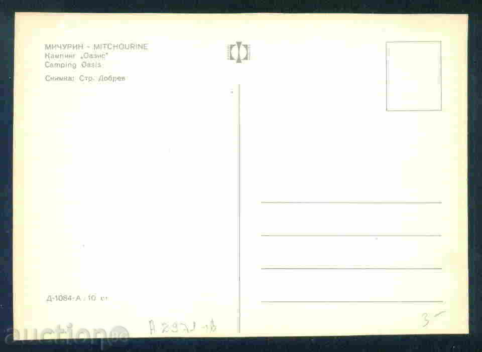 Auction OASIS Bulgaria card postcard MICHURIN / A 2971 Auction OASIS Bulgaria card postcard MICHURIN / A 2971