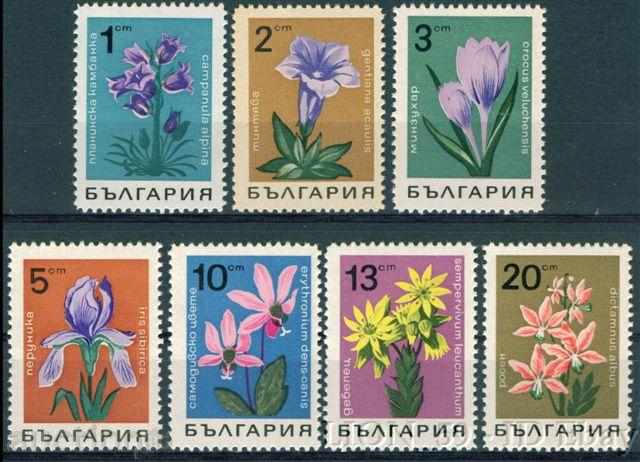1855 Bulgaria 1968 flori **