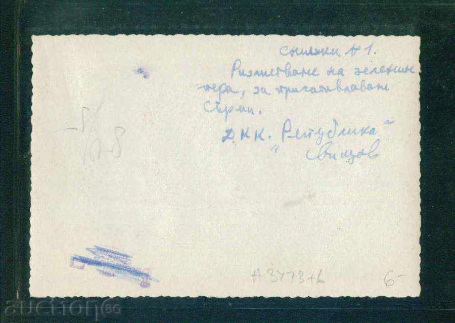 SVISHTOV photo DKK REPUBLIC Svishtov / A 3473 with price 11.00 BGN | € 5.62