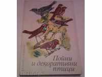 Book \ "Playful and Decorative Birds \"