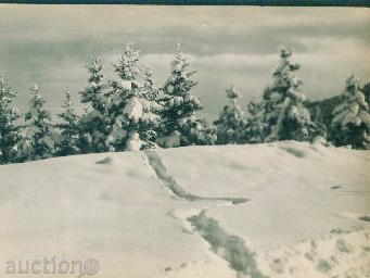 Auction Rila Mountain Bulgarian Photography A-1/1962 / M 198 Auction Rila Mountain Bulgarian Photography A-1/1962 / M 198