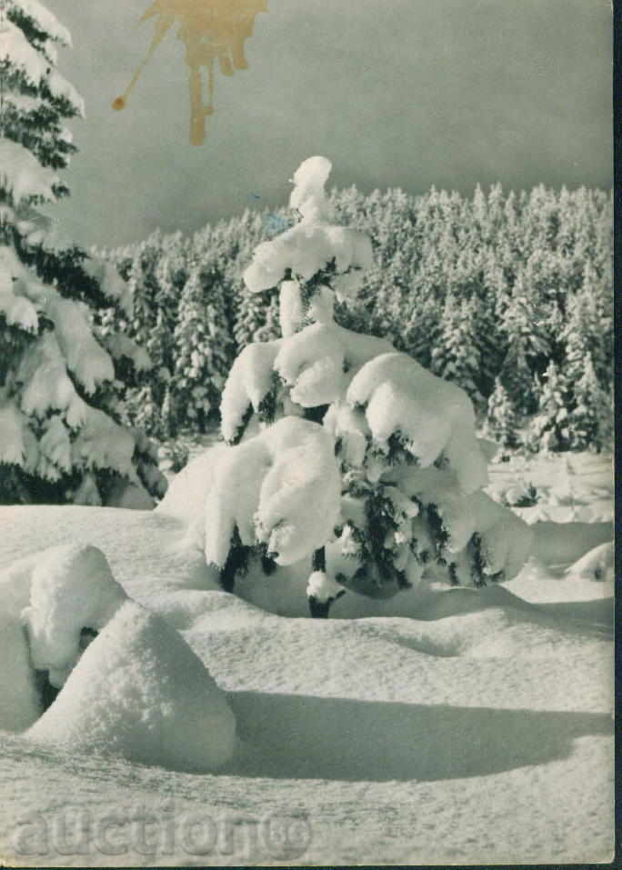 Rila Mountain Photographic Exhibition A-22 / M 209 with price 1.10 BGN | € 0.56 Rila Mountain Photographic Exhibition A-22 / M 209 with price 1.10 BGN | € 0.56