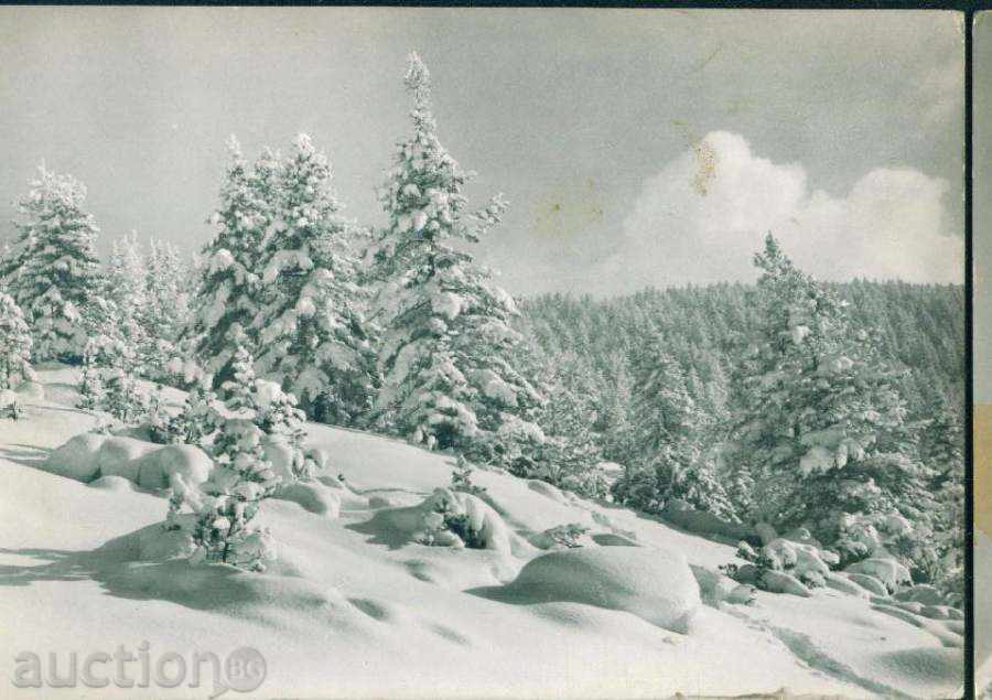 Rila Mountain Photographic Exhibition A-6 / M 210 with price 1.10 BGN | € 0.56 Rila Mountain Photographic Exhibition A-6 / M 210 with price 1.10 BGN | € 0.56