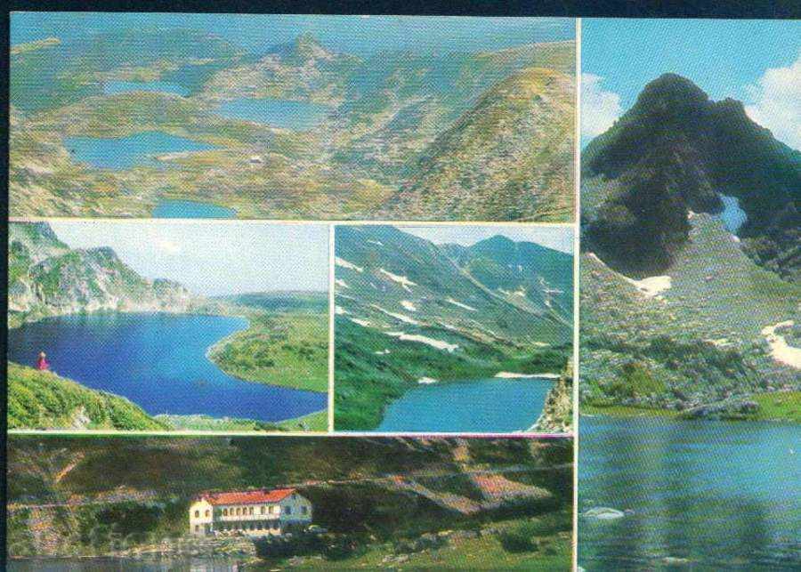 Auction RILA MOUNTAIN Photo-exhibition M-2649-A / M235 Auction RILA MOUNTAIN Photo-exhibition M-2649-A / M235