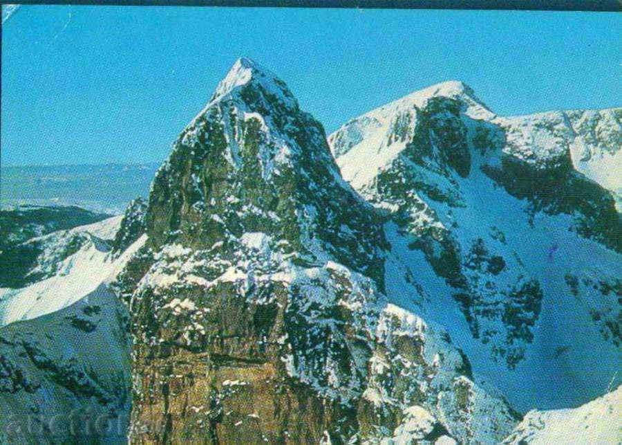 Δημοπρασία εκδόσεις χαρτί RILA D-1579-A / 1972 κορυφής κακό δόντι / M236 Δημοπρασία εκδόσεις χαρτί RILA D-1579-A / 1972 κορυφής κακό δόντι / M236