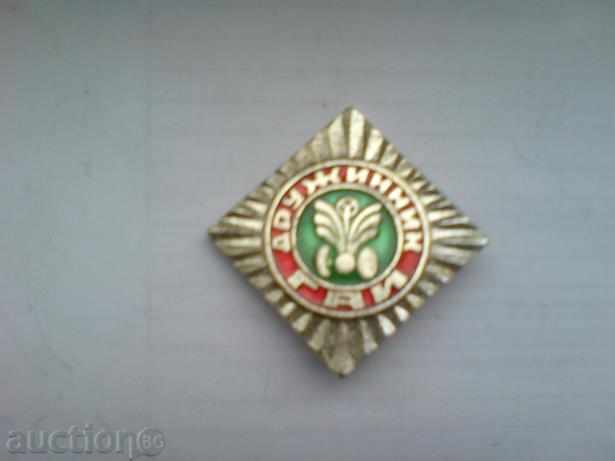 badge - Companion GAI Russia