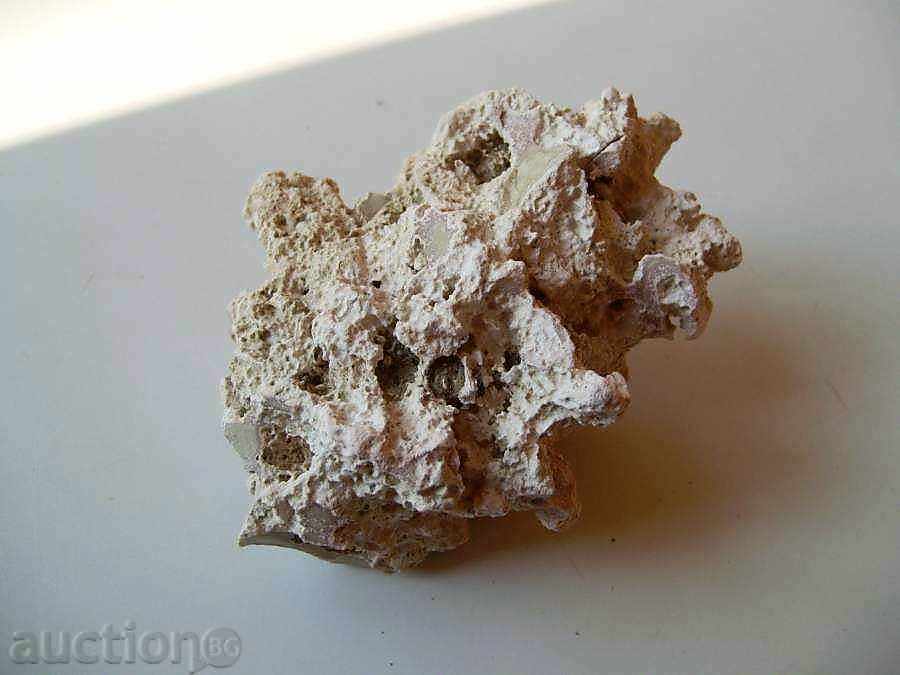 rocă erodată cu preț 5.00 BGN | € 2.56 rocă erodată cu preț 5.00 BGN | € 2.56