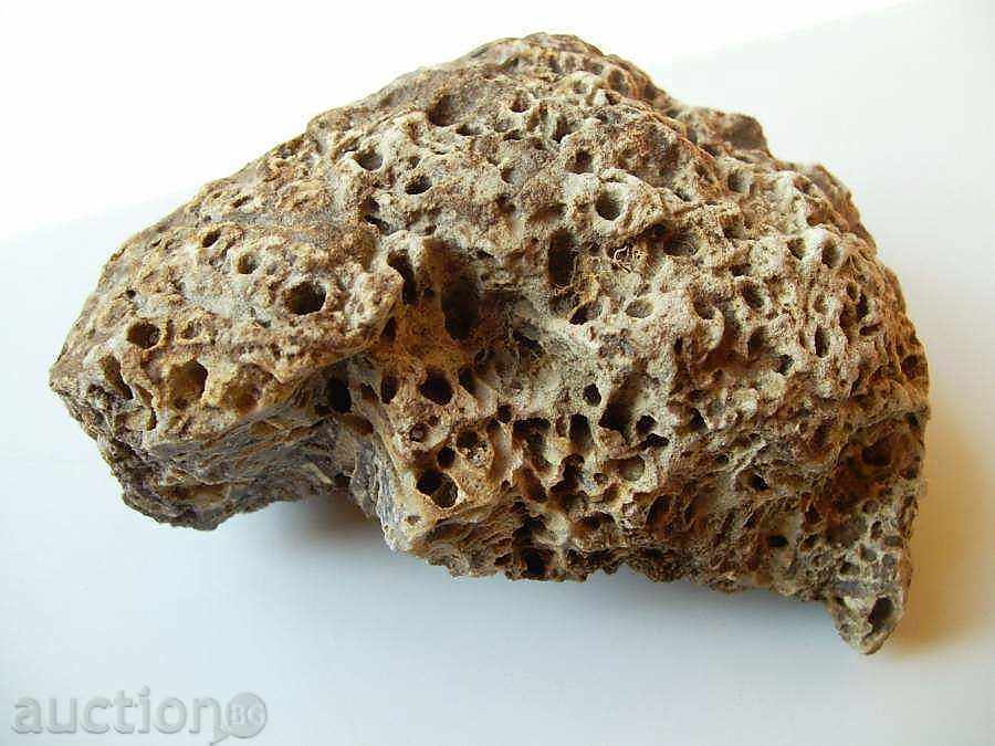 FOSIL with price 5.00 BGN | € 2.56