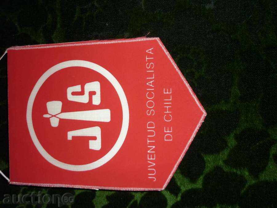 Auction Chilean flag Auction Chilean flag