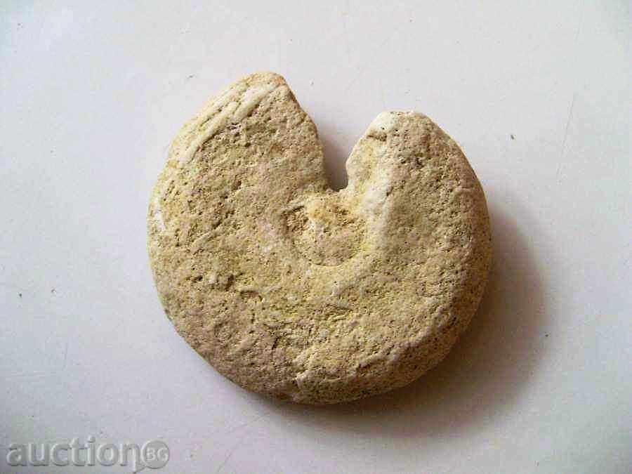 Fossil with price 5.00 BGN | € 2.56