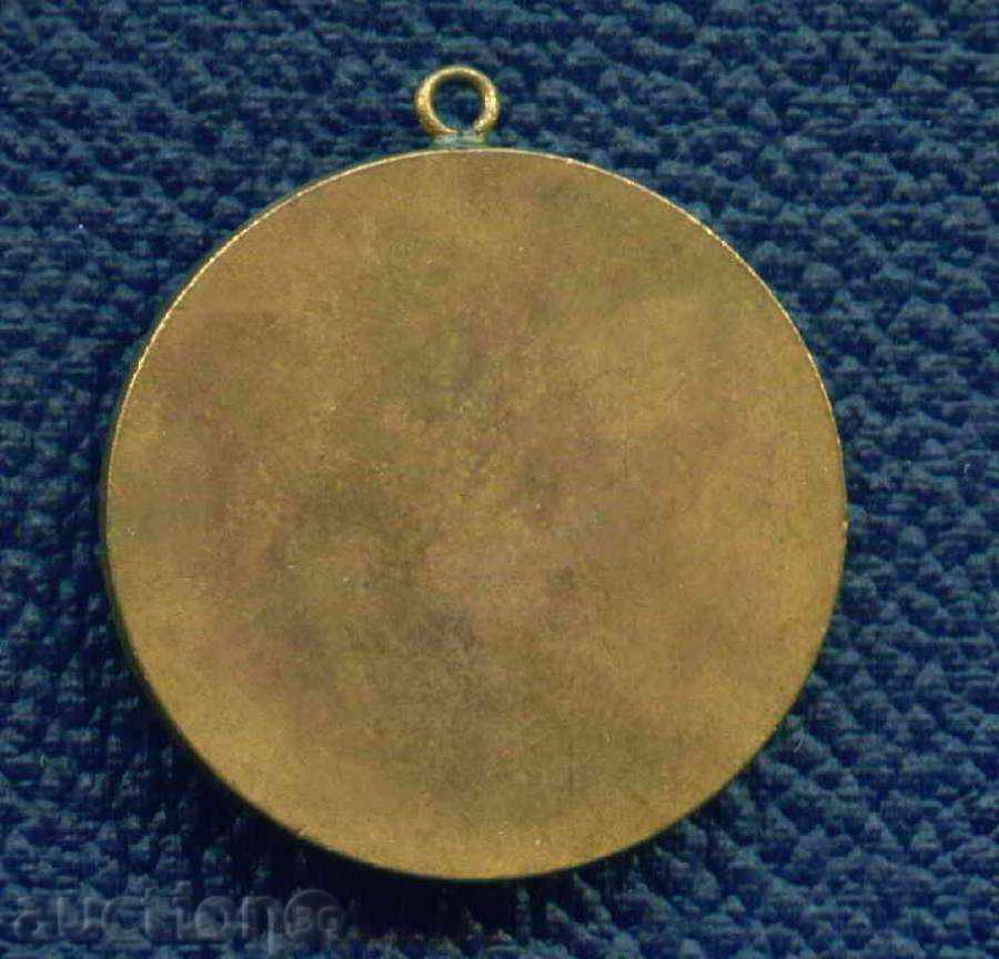 Auction MEDAL - A 40-AED DEFENSE DEFENSE BODY / M209 Auction MEDAL - A 40-AED DEFENSE DEFENSE BODY / M209