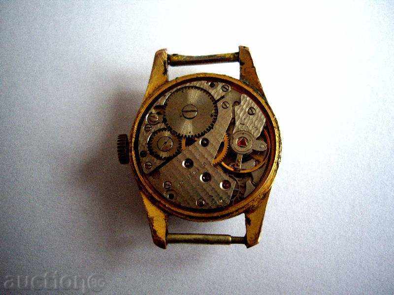 Delivery of Handmade Ladies \ '\' Darvil \ '\' Delivery of Handmade Ladies \ '\' Darvil \ '\'