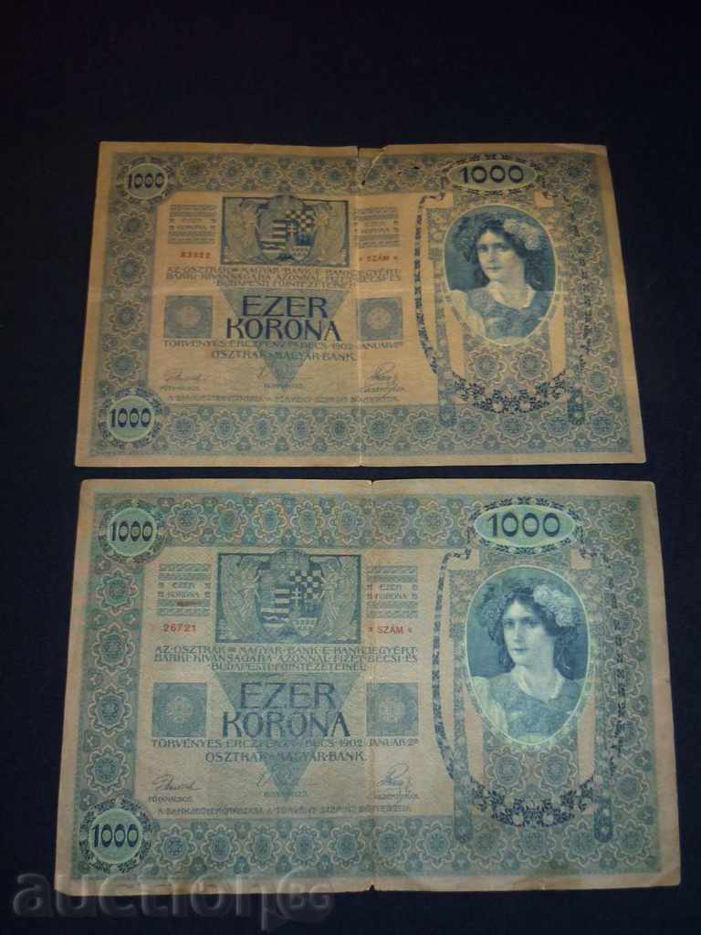 2 bancnote de 1000 de coroane Austria Ungaria