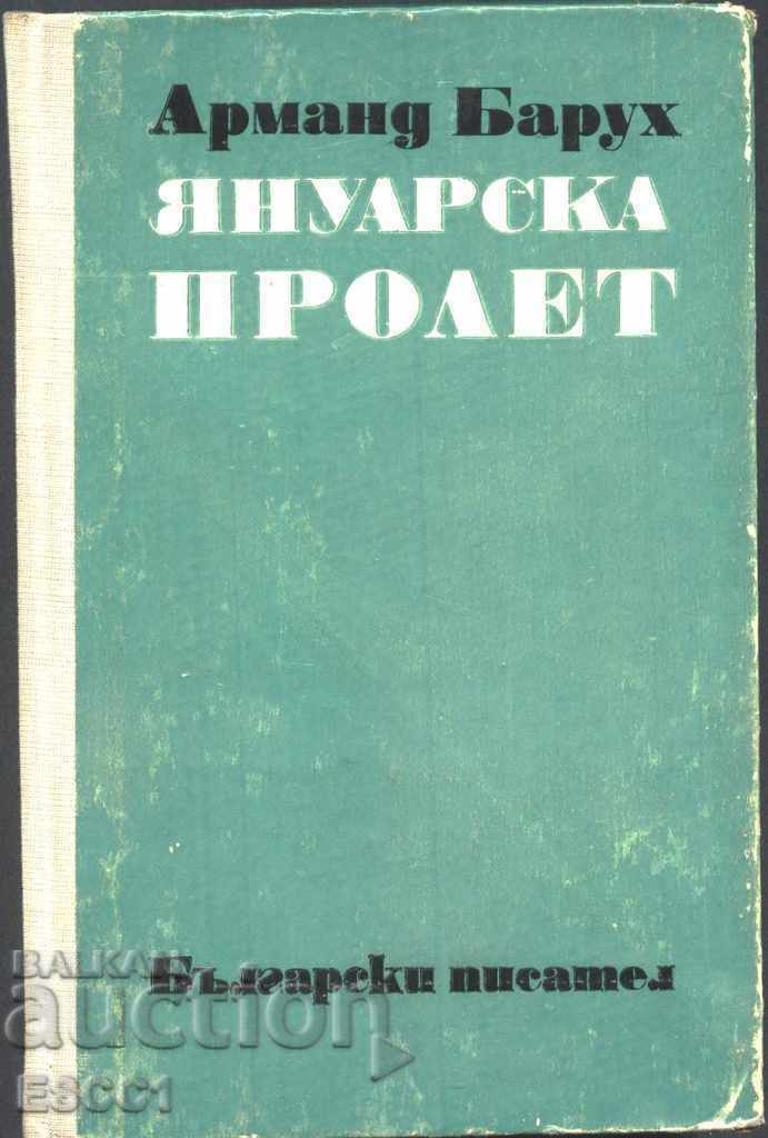 книга Януарска пролет от Арманд Барух