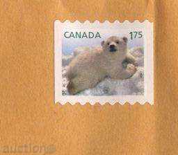 Traveled envelope bearing the White bear 2011 from Canada with price 1.00 BGN | € 0.51 Traveled envelope bearing the White bear 2011 from Canada with price 1.00 BGN | € 0.51