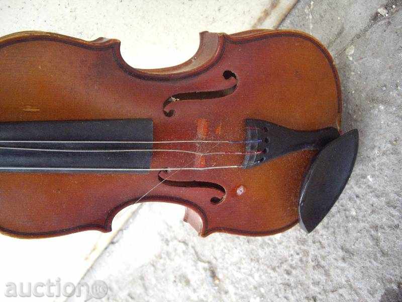 Delivery of Musical Instrument "Violin"
