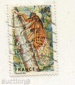 Kleymovana marca insectelor 1977 din Franța