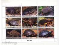 Καθαρίστε μπλοκ χελώνες 2010 από Fehr Νησιά