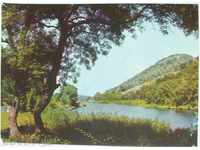 card - Ropotamo River - 1970/80
